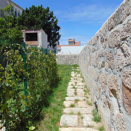 Liiiving In Porto | Central Garden Flat Dış mekan fotoğraf